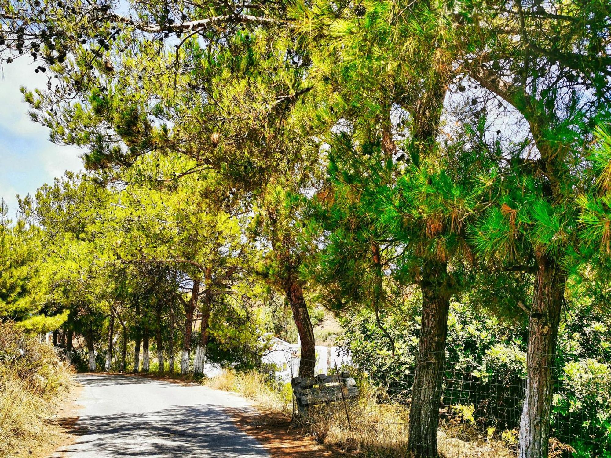 Phaos Residence, Your Stylish Crete Retreat Panormos  ภายนอก รูปภาพ